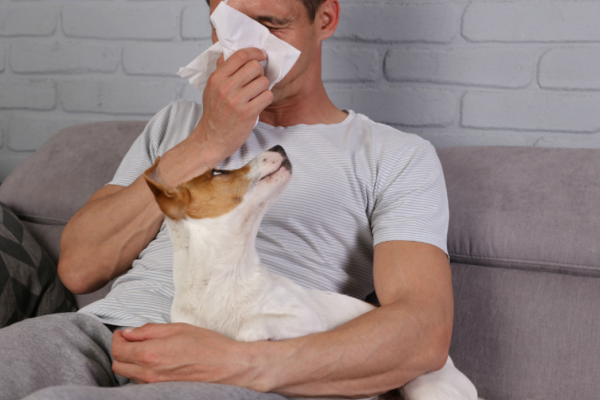 Köpek Alerjisi