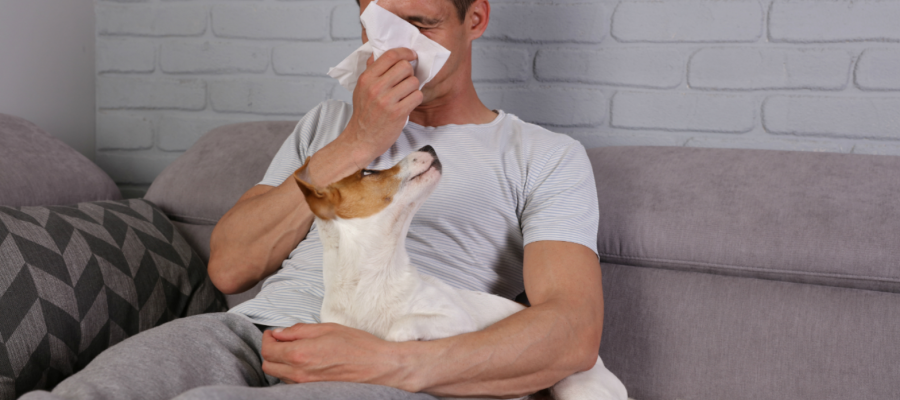 Köpek Alerjisi