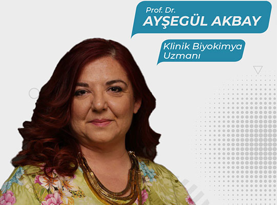 Prof. Dr. Ayşegül Akbay